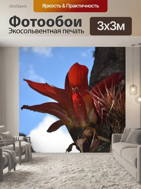 Фотообои Бромелия