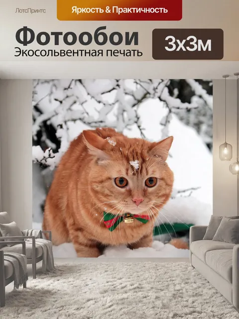 Фотообои Кошка
