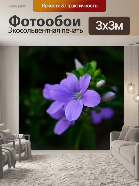 Фотообои Фиолетовый цветок
