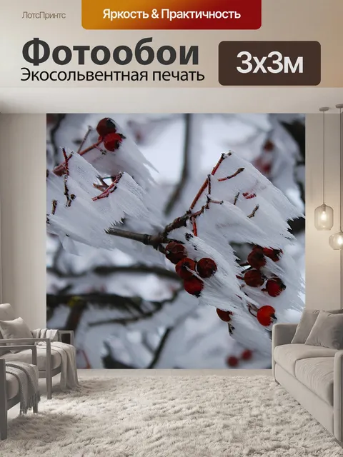Фотообои Мороз