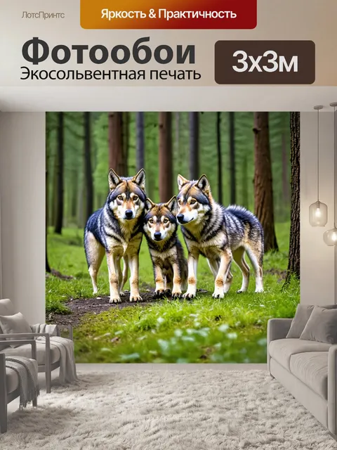 Фотообои семья волков в лесу, играющие вместе