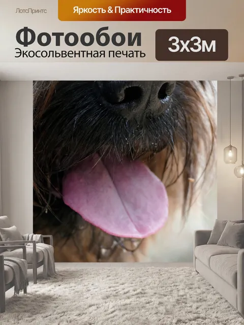 Фотообои Бриар-собака