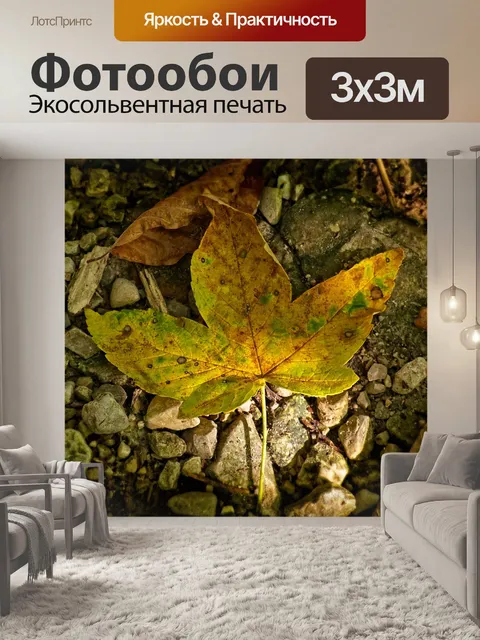 Фотообои Листья