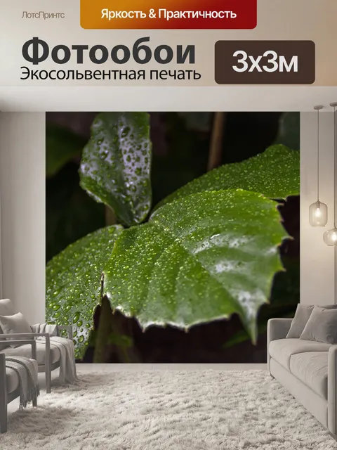 Фотообои мокрые листья