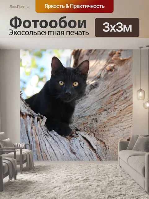 Фотообои Чернить
