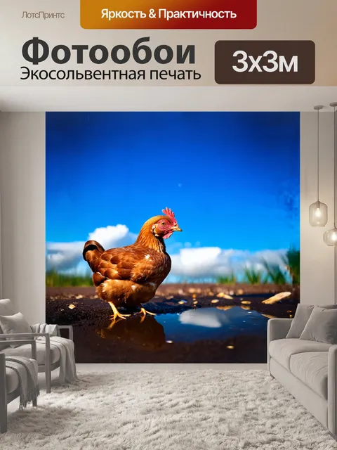 Фотообои на фоне глубокого синего неба сидит молодая кура, иногда поглядывающая на яркое солнечное сияние
