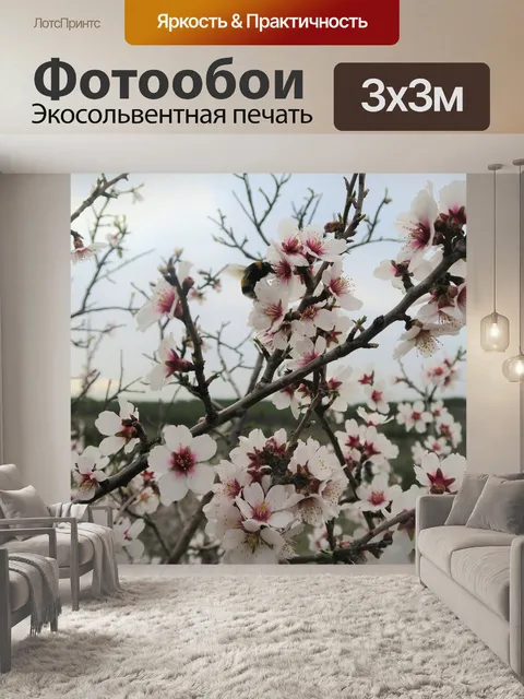 Фотообои Миндальное дерево