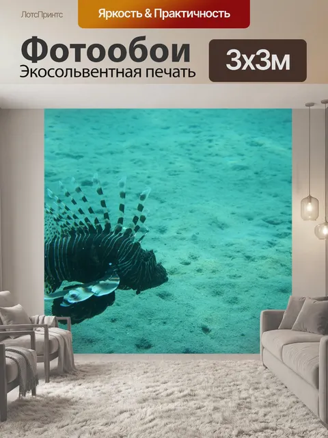 Фотообои Крылатка