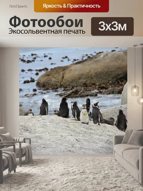 Фотообои Пингвины