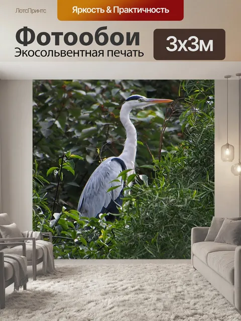 Фотообои Цапля