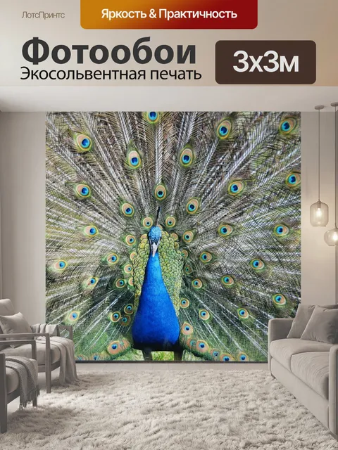 Фотообои Павлин