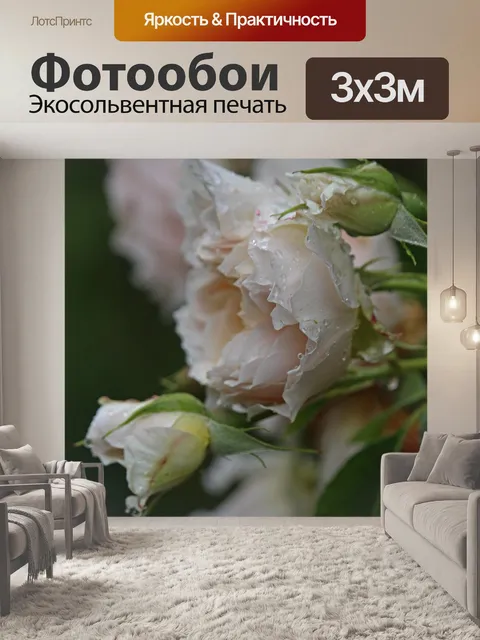 Фотообои Плетистая роза