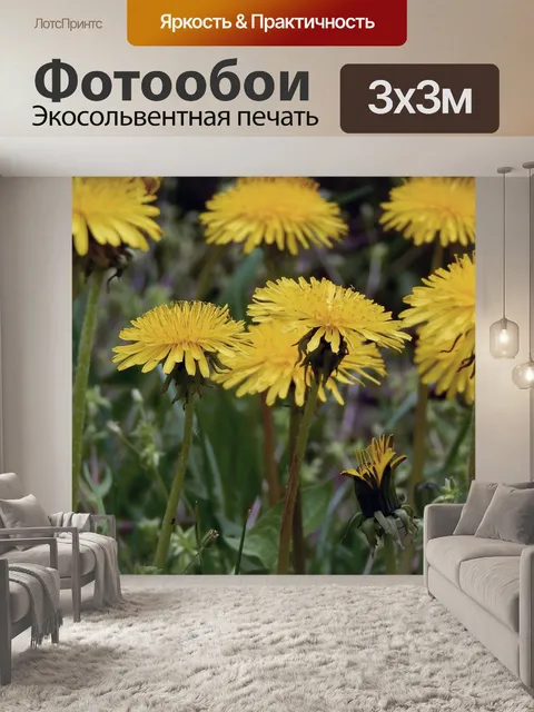 Фотообои Одуванчики
