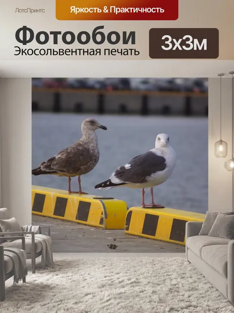 Фотообои Чайка