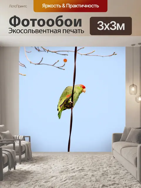 Фотообои Зеленый попугай