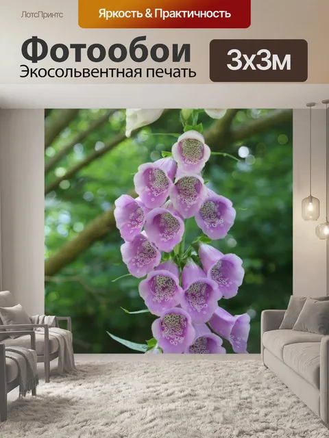 Фотообои Розовый Пятнистый Высокий Холлихок