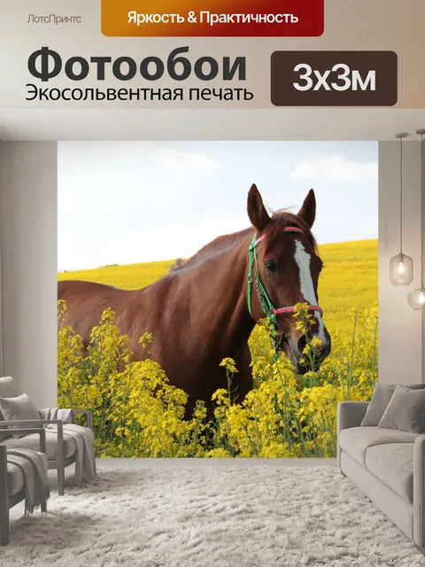 Фотообои Поле