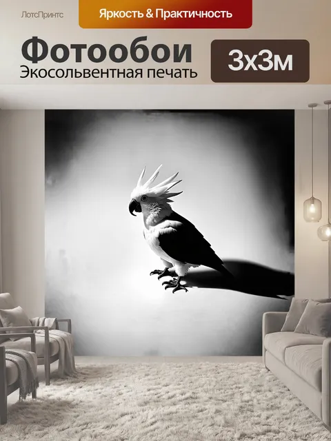 Фотообои минималистическое черно-белое изображение какаду в технике высокого контраста