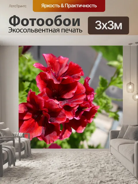 Фотообои Красный цветок
