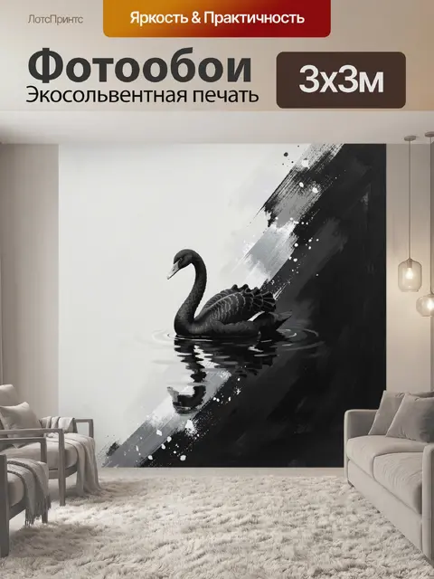 Фотообои Черный лебедь на воде