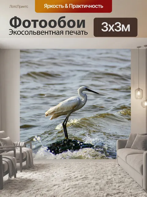 Фотообои Животное