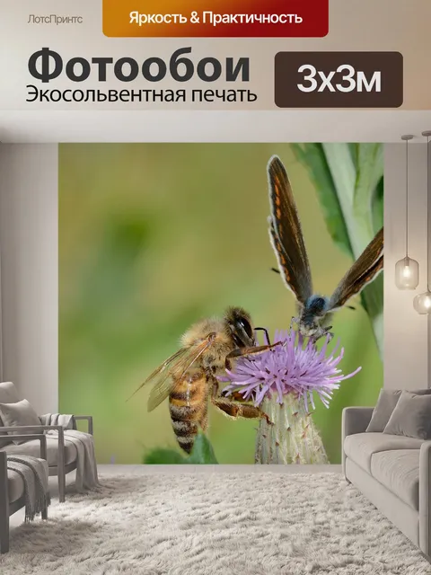 Фотообои Насекомые
