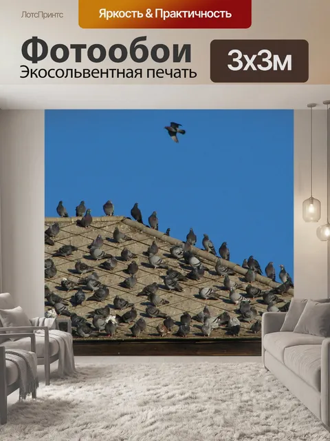 Фотообои Голуби