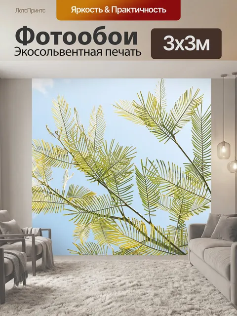 Фотообои Акация