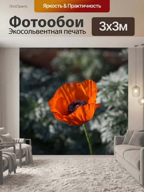 Фотообои Мак цветок