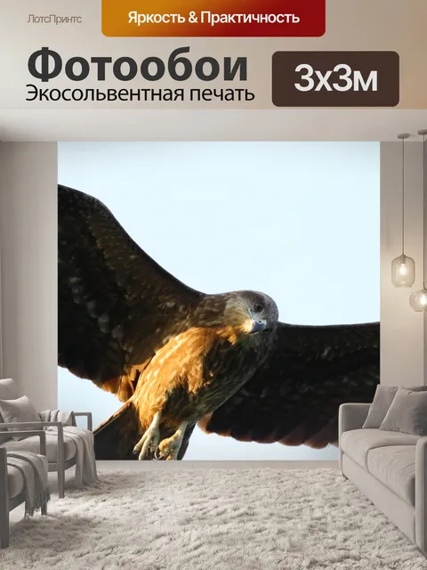 Фотообои Птицы