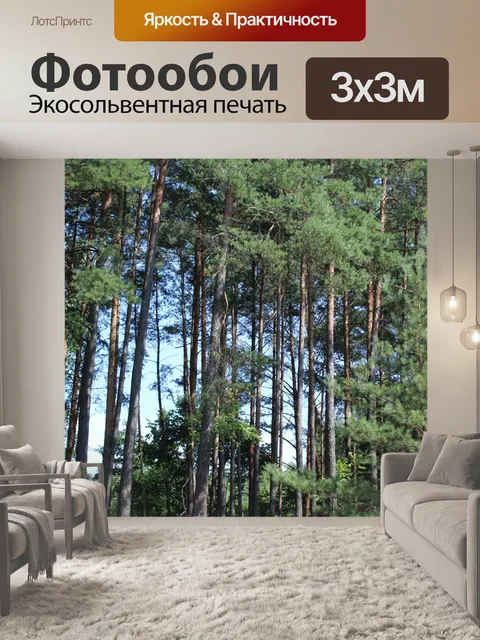 Фотообои Лес, Польша