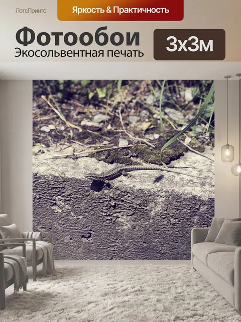 Фотообои Ящерица на солнце