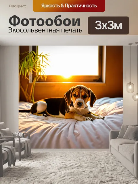 Фотообои Щенок бигля лежит на белой кровати у окна с видом на закат, рядом с растением, в комнате с тёплым освещением