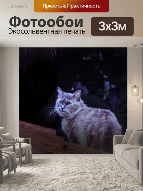 Фотообои Кот