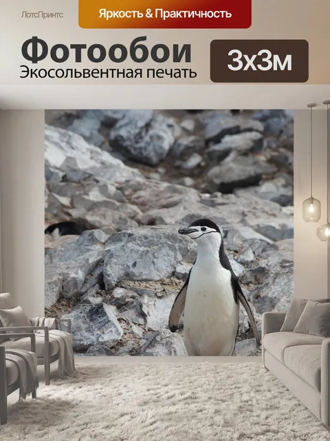 Фотообои Антарктический пингвин