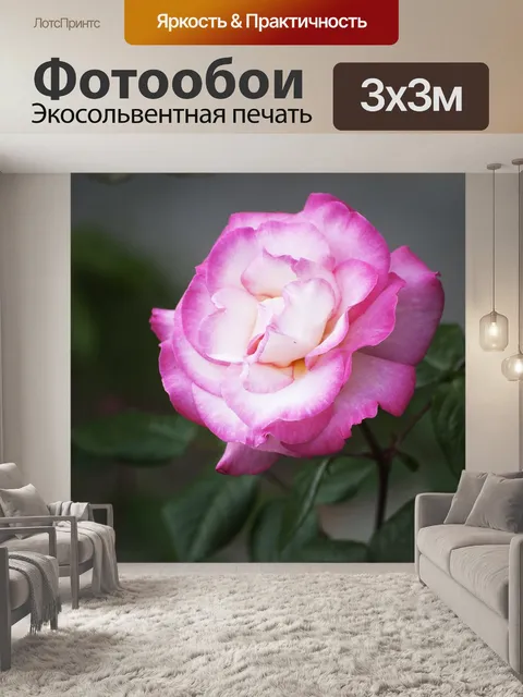 Фотообои Цветок