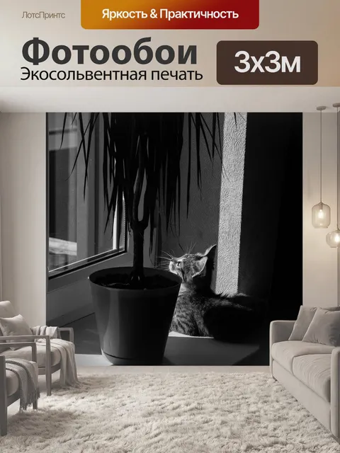 Фотообои Кошка