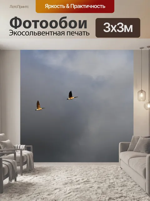Фотообои Птицы
