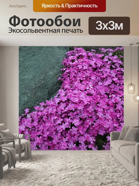Фотообои Флокс