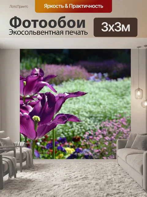 Фотообои Фиолетовый