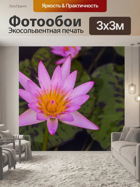 Фотообои красивый цветок лотоса