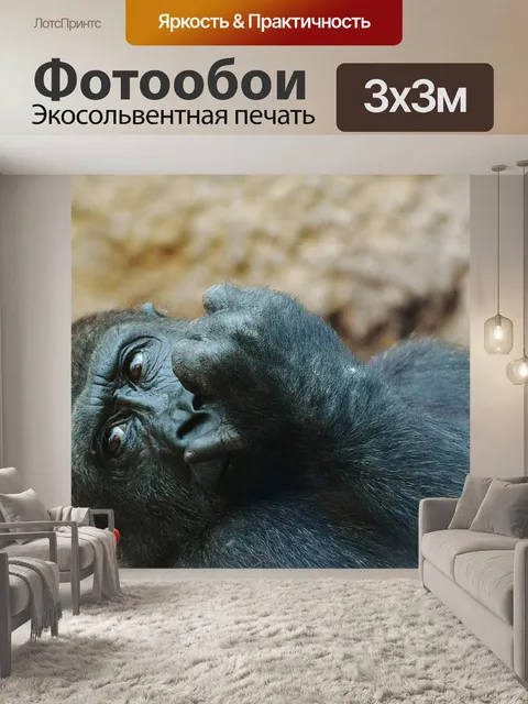 Фотообои Обезьяна