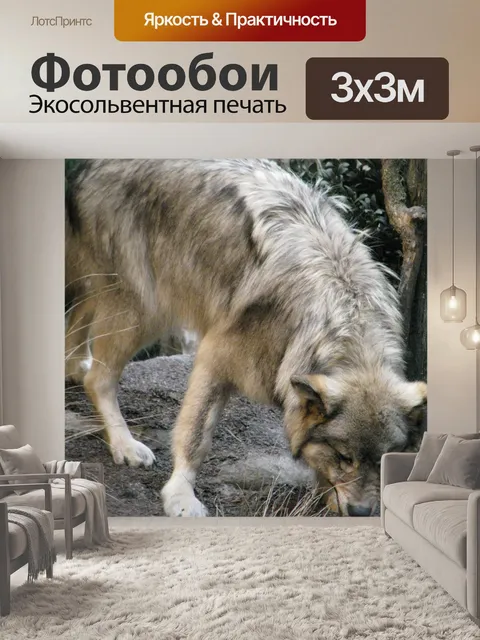 Фотообои волк
