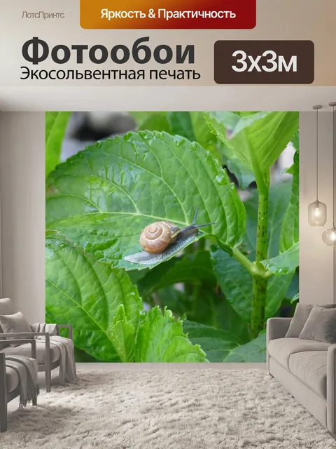 Фотообои Листья