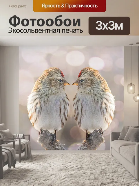 Фотообои Птица