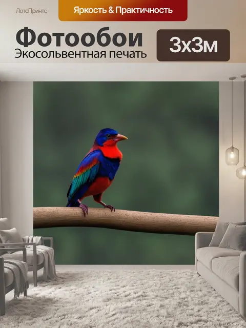 Фотообои на ветке