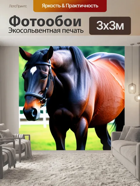 Фотообои с лошадью