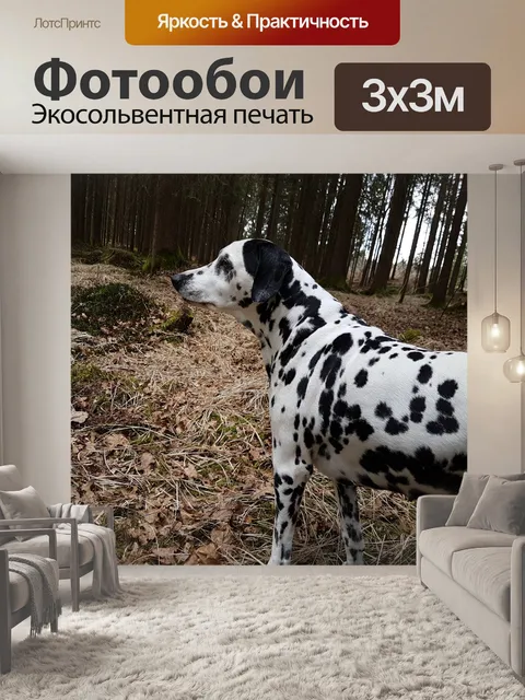 Фотообои Далматин в лесу