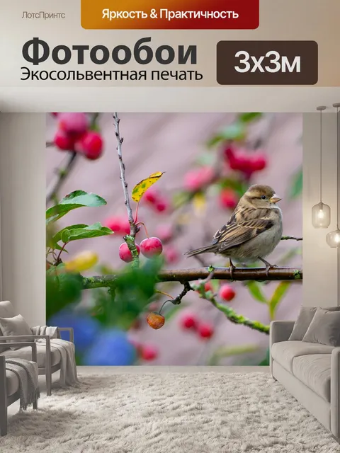 Фотообои Воробей