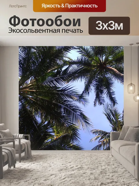 Фотообои Пальмы